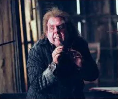 Qui a réellement trahi James et Lily Potter ?