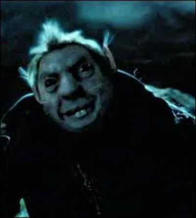 Comment Pettigrow s'est-il échappé ?