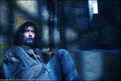 Grâce à cet objet, Harry et Hermione ont pu sauver :