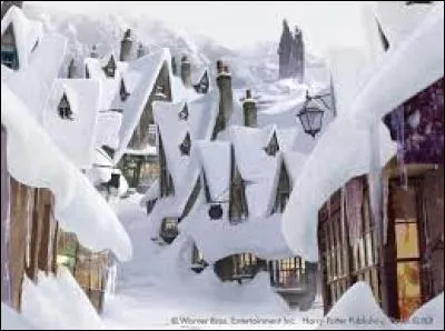 Qui donne l'autorisation à Harry de se rendre à Pré-au-Lard l'année prochaine ?