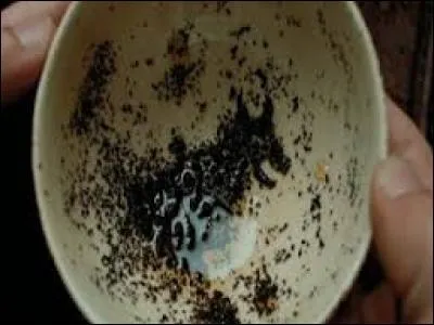 Quel présage de mort, le professeur de Divination, Sibylle Trelawney, a-t-elle vu dans la tasse d'Harry ?