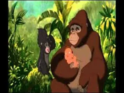 De quel dessin animé vient cette image ?