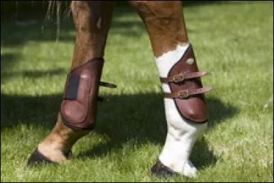 Sur quel membre est mise cette protection ?