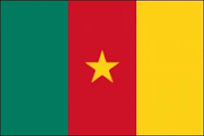 A quel pays appartient ce drapeau ?