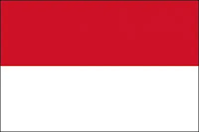 A quel pays appartient ce drapeau ?