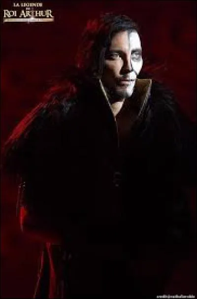 Dans la comédie musicale, qui joue le prince Méléagant ?