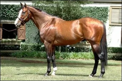 Si un cheval se cabre, dresse la tête, ses naseaux sont dilatés, on voit le blanc de ses yeux. Cela veut dire :