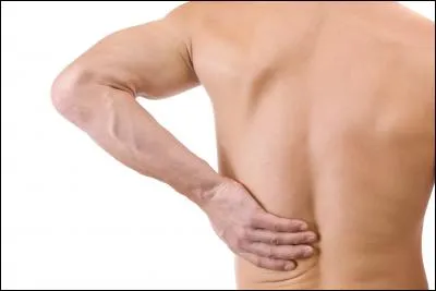 Clique sur le nom de l'os se situant au niveau du dos.