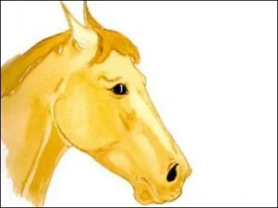 Ce cheval présente des signes :