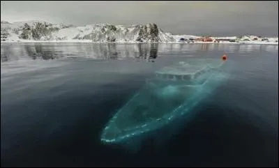 Ce yacht privé brésilien était utilisé pour des missions scientifiques et pédagogiques. Il a coulé en Antarctique, le 7 avril 2012, en pleine nuit, pendant que l'équipage attendait la fin d'une tempête. Depuis 3 semaines, le bateau connaissait des problèmes de moteur. Mais que s'est-il passé pour que le yacht coulât ?