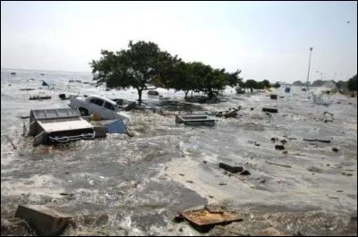 Le 26 Décembre 2004, un séisme de Mw 8.9 propulse un effroyable tsunami à travers l'Océan Indien, détruisant tout sur son passage... C'est la première fois qu'une catastrophe reçoit une telle couverture médiatique aussi durablement dans le temps.
Quel est le bilan humain estimé de cette tragédie ?