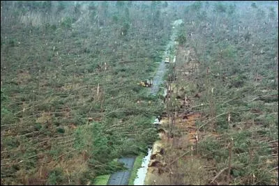 Fin Décembre 1999, les tempêtes Lothar et Martin frappent l'Europe, et en particulier la France, qui compte 92 à 95 morts, et des dégâts totaux de 12 Mds d'euros, en seulement 48h ! Son réseau électrique subit la pire dévastation qu'un pays moderne ait vécu... 
Quel pourcentage de poteaux électriques et pylônes ont été abattu, sur l'ensemble du réseau électrique français en 48h ?
