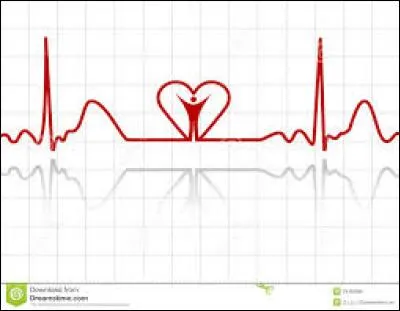 Qu'est-ce qu'un ECG ?