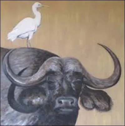 Dans cette relation, nous avons tous les deux un bénéfice réciproque. De quelle relation s'agit-il ?