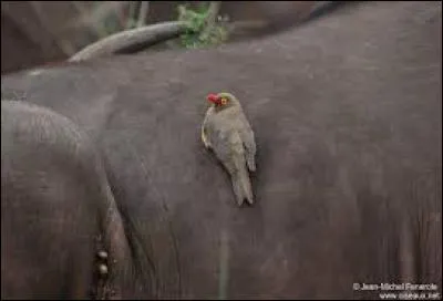 Voyez-vous, je l'aide sans le déranger. Quelle est cette relation ?