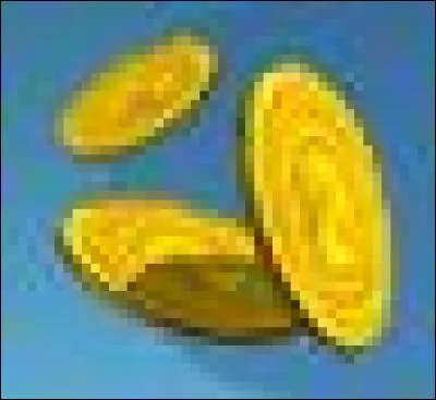 Comment peut-on gagner des pass gratuits ?