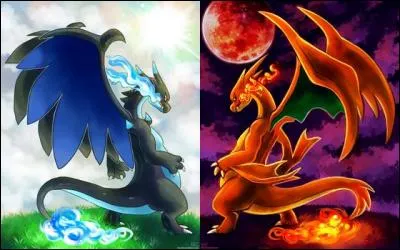 Quelle taille font les deux Méga-Dracaufeu ?