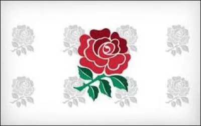 Au rugby, quelle équipe porte le nom de XV de la Rose ?