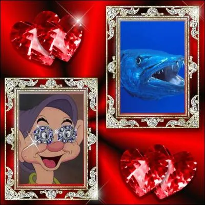 Comme j'avais la flemme de trouver un poisson, j'en ai acheté un. Juste, lequel est-ce ?