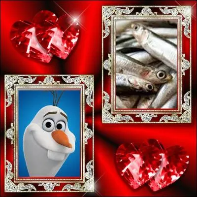 Et bah bravo, bonjour la confiance. Moi, je les ai trouvés dans un zoo, au moins ! Ce sont des :