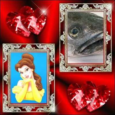 Bon, moi je l'ai mangé. J'ai juste amené une photo... C'est grave ? En même temps, vous n'avez pas le choix... Il s'agit d'un(e) :