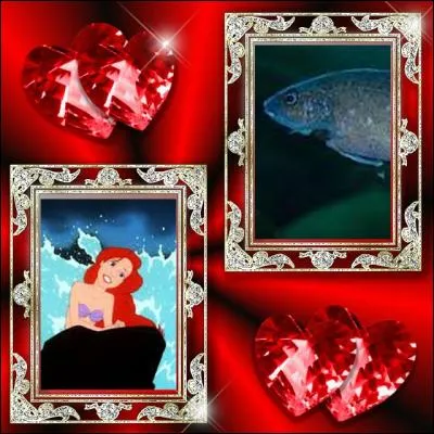 Cendrillon, ton poisson ne ressemble à rien, en fait. Le mien a un physique très avantageux, regarde ça. Qu'est-ce ?