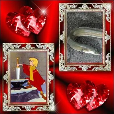 Coucou, ma petite Wendy, comment vas-tu ? J'ai également attrapé un poisson. Je suis persuadé qu'il s'agit de :