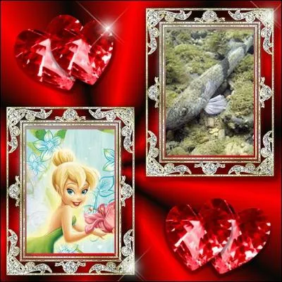 Moi, je suis une fée. Et la plus belle, d'ailleurs. Et mon poisson, et beh il est le plus beau. C'est :