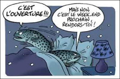 Quel poisson reconnaissez-vous sur l'image ?
