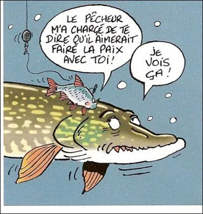 Quel poisson de nos fleuves et rivières est surnommé le "grand-gousier" ?
