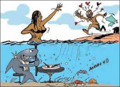 Vous partez à la pêche en mer ? De ces trois requins, lequel ne pouvez-vous pas attraper ?