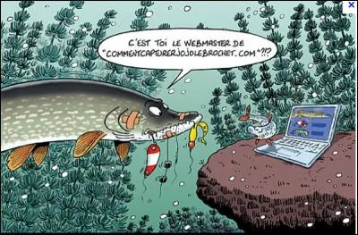 Quel leurre allez-vous utiliser pour pêcher le brochet ?