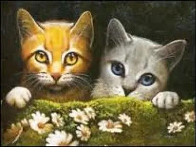 Quel est le nom des filles de Tempête de Sable ?