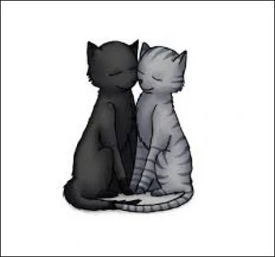 Qui étaient les parents de Jolie Plume et Pelage d'Orage ?