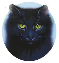Quiz Erin hunter
