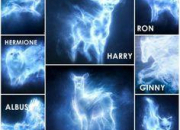Quiz Harry Potter : les Patronus