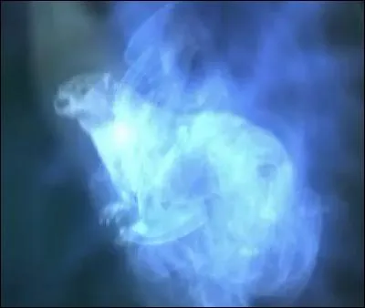À quel personnage appartient le Patronus de la loutre ?