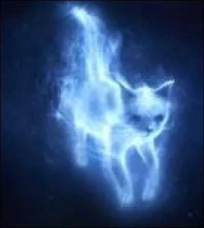 À quel personnage appartient le Patronus du chat ?