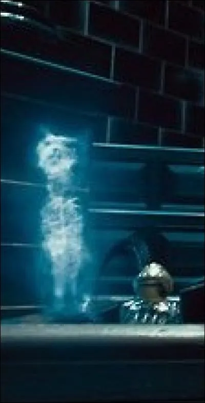 À quel autre personnage appartient le Patronus du chat ?