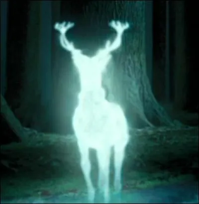 Quels personnages ont pour Patronus le cerf ?