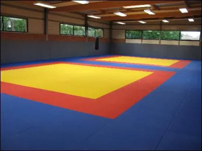 En quelle année a eu lieu l'ouverture du premier club algérien de judo ?