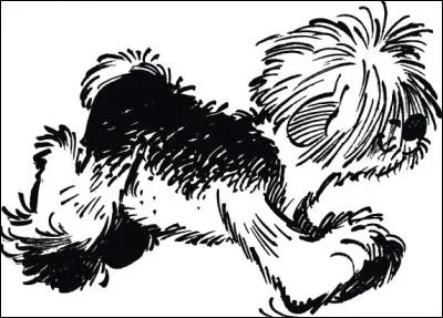 Voilà un des copains du chien ! Quel est son nom ?