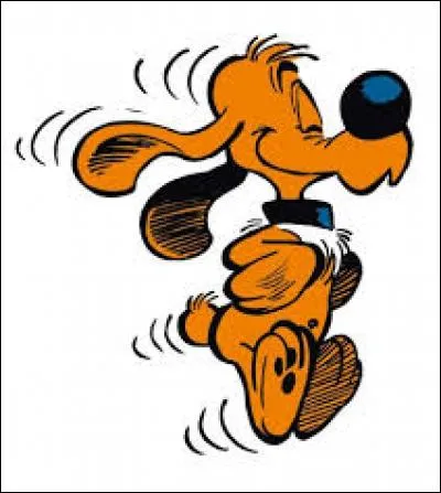 Au fait, quelle est la race du chien ?