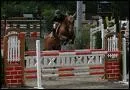 Quel est le record du monde de saut d'obstacle  cheval ?