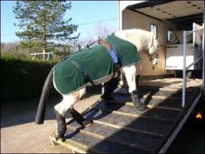 Quelle protection n'est pas mise au repos ?