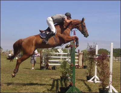 Quel est le nom du saut qui n'existe pas ?