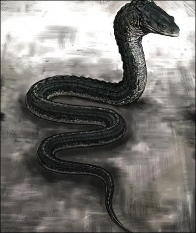 Comment est né le Basilic ?