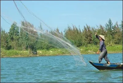 Qui a chanté "Mon gentil pêcheur Ramène tes filets Ton coeur est ailleurs ça ne mordra jamais" ?