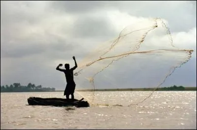 Quelle chanson de Zazie débute par : "Un canard dans le café J'ai du mal à digérer, parfois, Tous les papiers mâchés Qui se prennent à mon filet De voix Pauvre pêcheur" ?