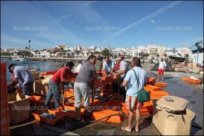 Qui a chanté "J'arrivais tous les matins de bonne heure Acheter leur pêche aux pêcheurs Puis j'étalais mes cageots de poissons Juste là, devant ta maison" ?